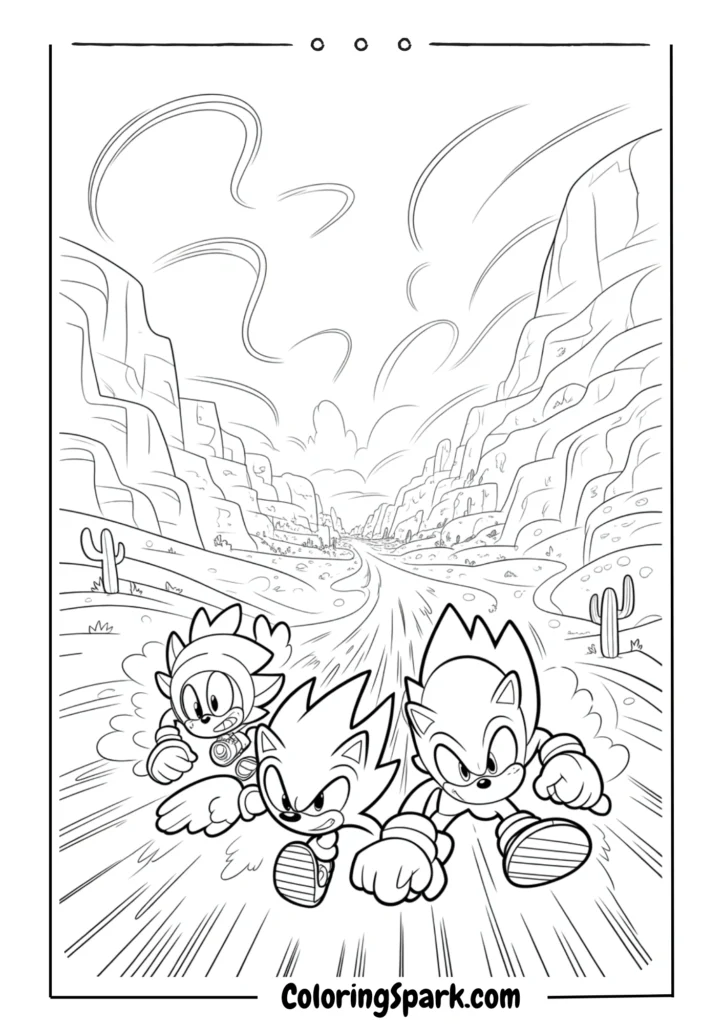 A Sonic and Knuckles racing through a desert canyon